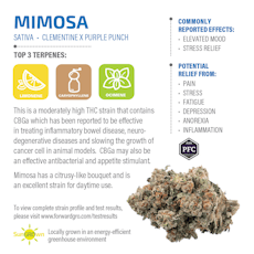 LivWell | Mimosa | 3.5g Pre Packed