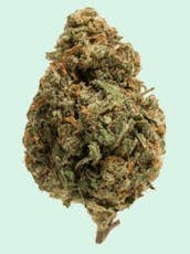 Pantheon I Flower I Donkey Kong I 3.5g Sativa