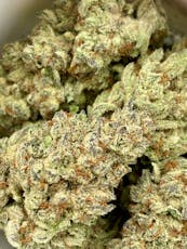 Gold Shelf - Dante's Inferno (I)