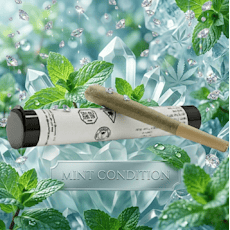 Twisted Infused Preroll (0.7g) Mint Condition