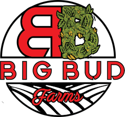 Big Bud Farms Cart 1g Super Lemon Haze