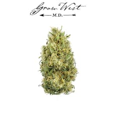 GW FPOG x Sour Dub 14g Gold $80