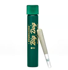 Dogwalkers Pre-Roll 1pk/1g Big Dogs- Chicken n' Wafflez