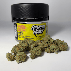 Hashtag Honey | Lemon Cherry Gelato | 28g