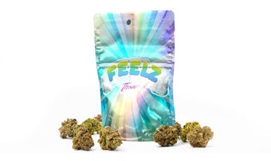 Feelz - Da Funk - 7G Bud