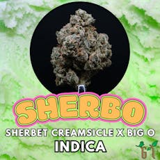 Flower - Sherbo - Top Shelf