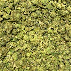 Popcorn Shelf - Apricot Scone (S)