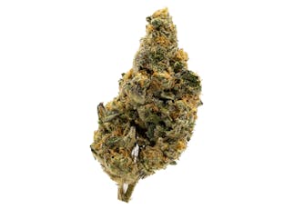 Gushcanna