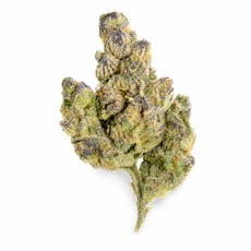Sherb Cocktail #7 | Flower | 3.5g