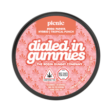 Hybrid Tropical Punch x Picnic Rosin Gummies | 5mg x 20pk