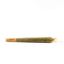 88 G13 Hashplant