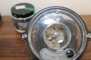Northeast Kannabis I Platinum OG Kush Breath
