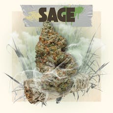 Sage