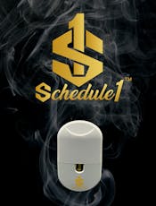 Schedule One - Disposables - Papaya Runtz (H) 2000mg