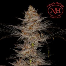 Double Krush Popcorn 7g - Nature's Heritage (Pre-Pack)