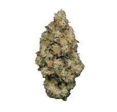 Tricheratrops | Flower