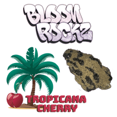 3.5G Bloom Rocks Tropicana Cherry