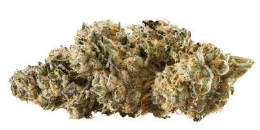 Rythm - Brownie Scout