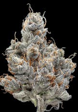 GDL Black Label Flower- Garlic Banger H 3.5g