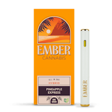 Pineapple Express | Disposable | 1g