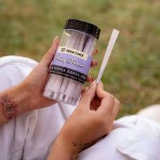 Blazy Susan | Preroll Cones 98mm | 20pk Purple