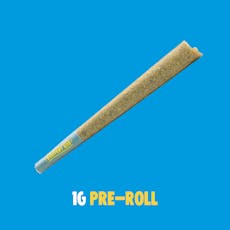 Buoyant Bob | Pre-Roll | Pail & Shovel 1g