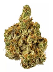 AMA | Garlic Sundae 7g