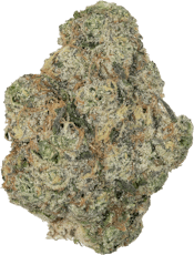 Shaka Prepack (1 oz) Weasel Diesel