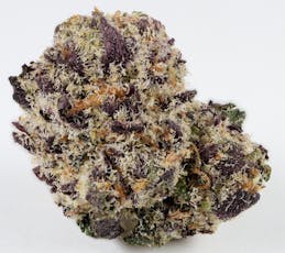 Platinum Shelf - Jet Fuel Gelato x Traingle Kush (I)