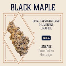 ELEVATE - PREPACK - 3.5G - BLACK MAPLE - INDICA