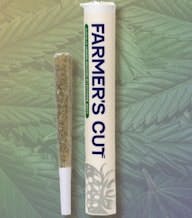 Rancid Rainbow | Pre-Roll | 1g