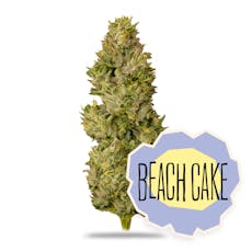 Beach Cake