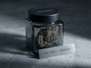 TEK I Flower I Jaw Breaker I 3.5g