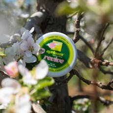 Ayrloom | Revive | Bergamot, Grapefruit & Sandalwood | 1:1 THC:CBD | Topical | 1000mg