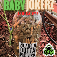 Collective Elevation: Baby Jokerz Pre-Rolls (.5g)