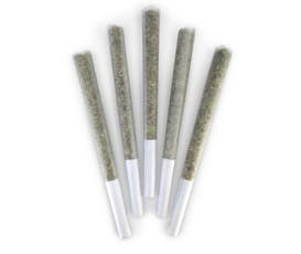 French Beignet 5-Pack