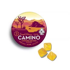 Camino - Pineapple Habanero (s) - Gummies - 100mg