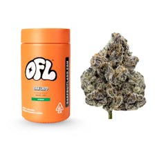 Oakfruitland - Oak-Lato (Hybrid) Flower Jar 14g