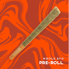 Alien Mintz | PreRoll