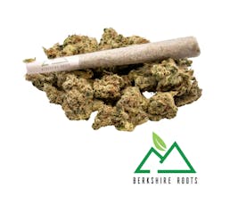 Blueberry Cookies | Preroll | 1g