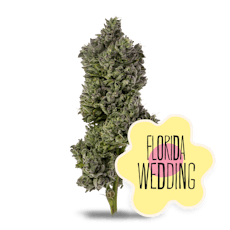 Florida Wedding Whole Flower 3.5g