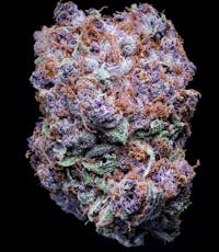 Falcanna FL Blueberry Tide 3.5g