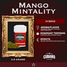 Mango Mintality | Distillate Infused Pre-ground | 3.5g