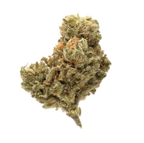 J1