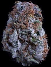 Pacific Blue by Falcanna