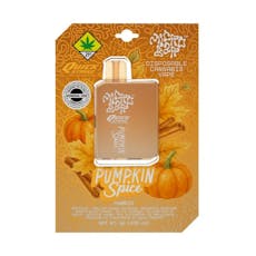 Pumpkin Spice 1g Micro Bar Disposable Vape - Potential Energy