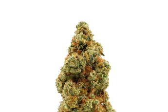 Brighterside Farms - Roasted Garlic Margy - Flower - 3.5g