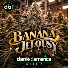 DOA - 3.5g Flower - Banana Jealousy