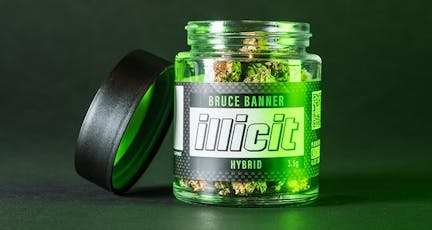 Illicit Gardens Bruce Banner | 3.5g
