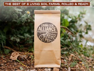 LSA Variety Pack (8g)